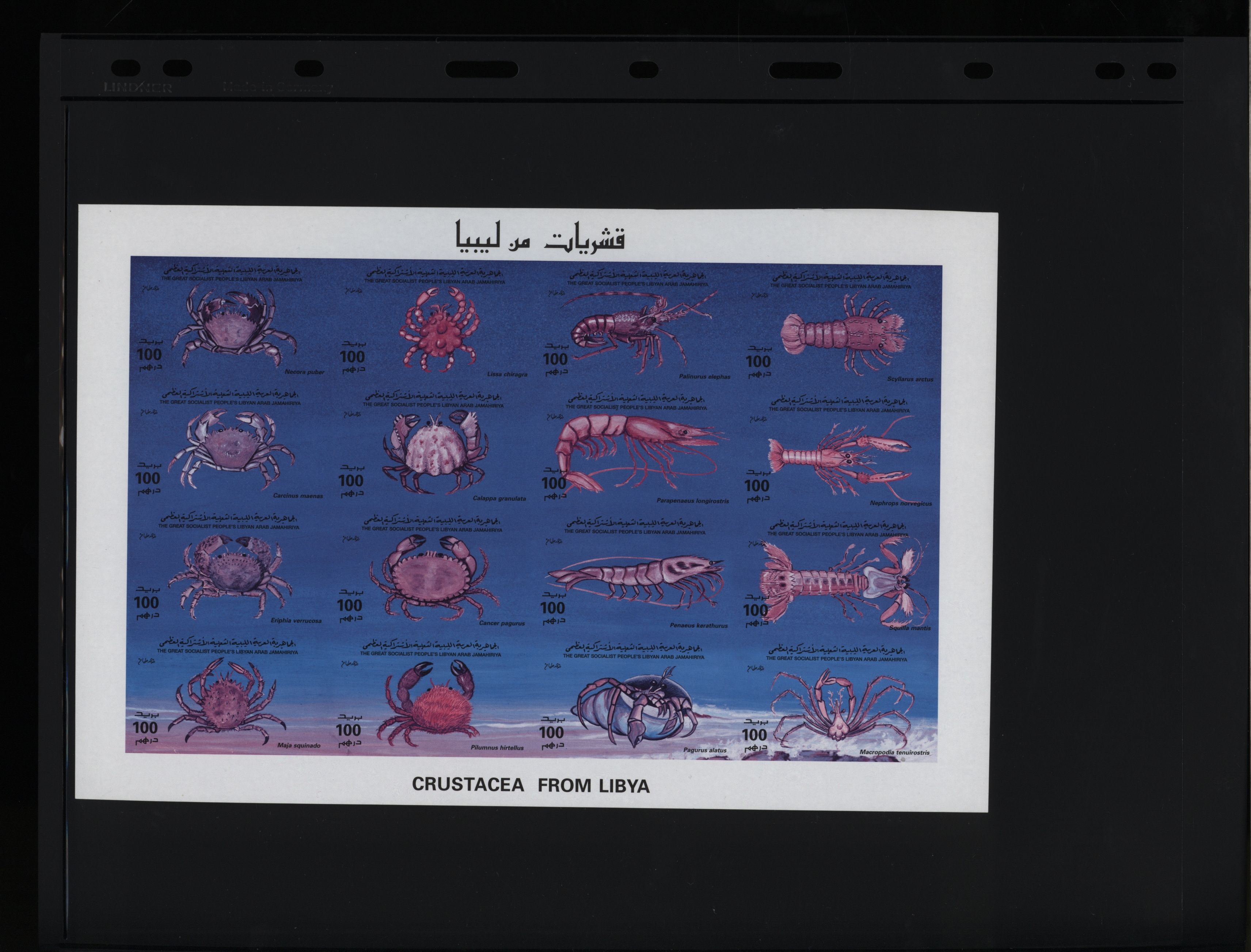 sample from the Arabic World Collection - Lot 29800