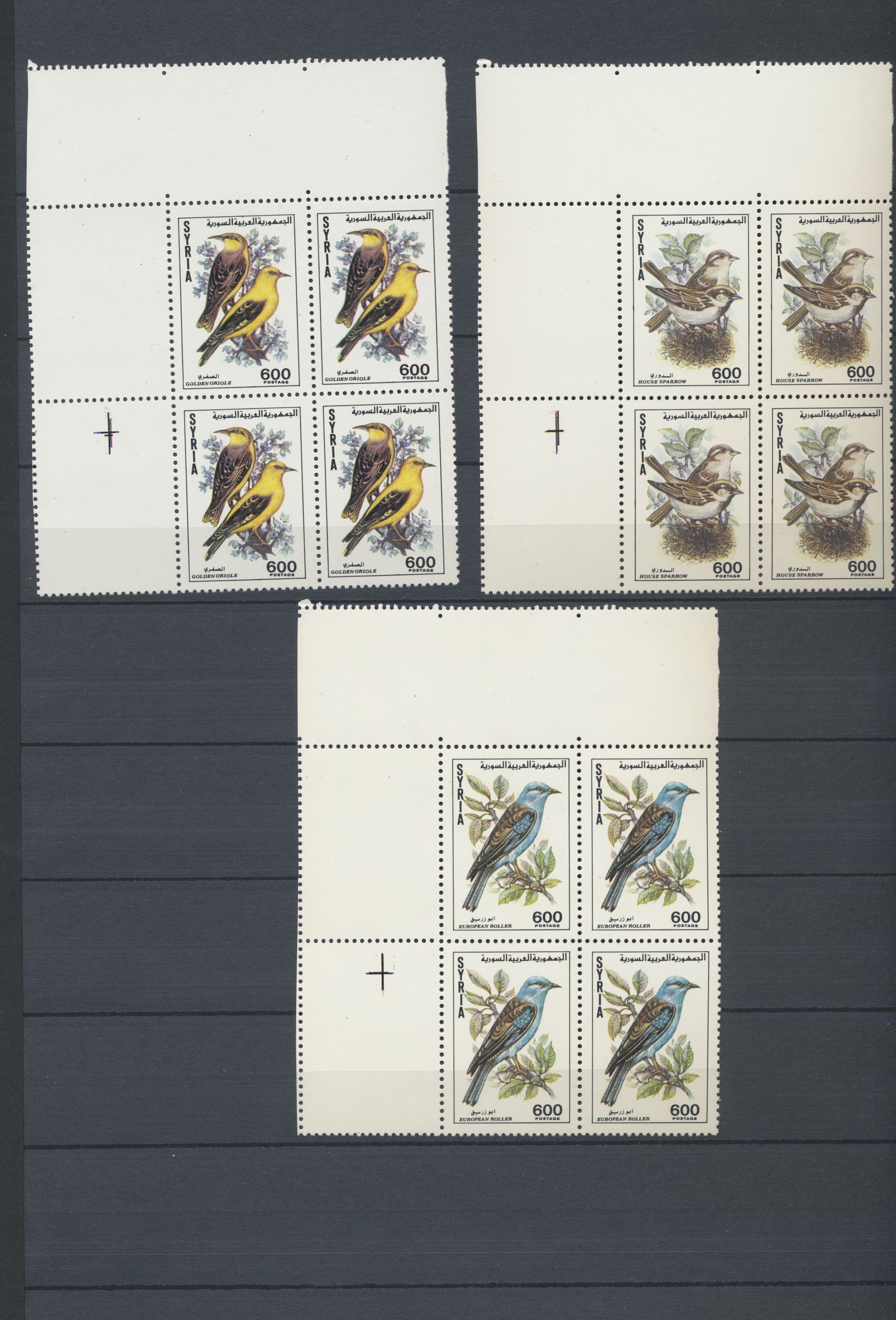 sample from the Arabic World Collection - Lot 29800