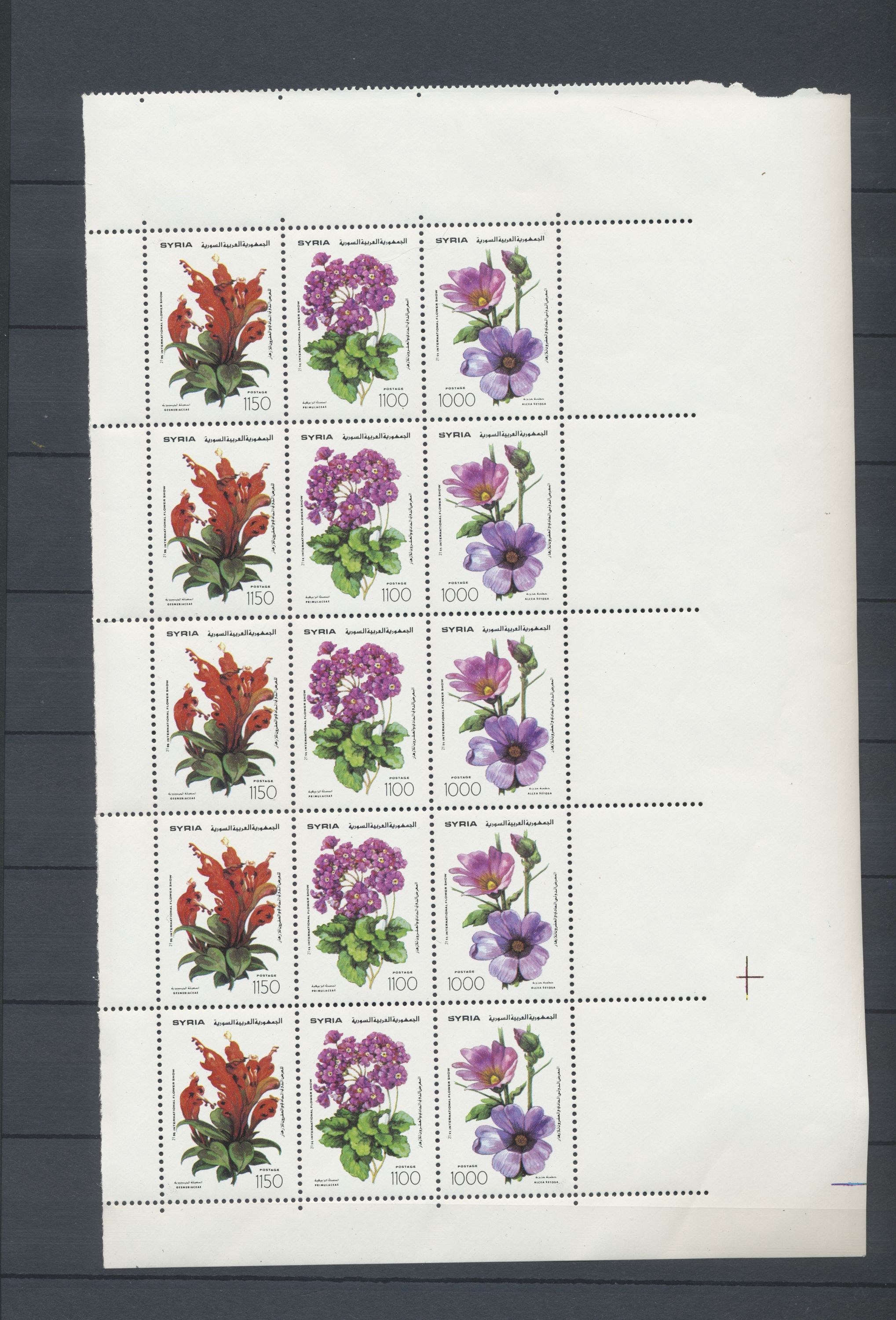 sample from the Arabic World Collection - Lot 29800