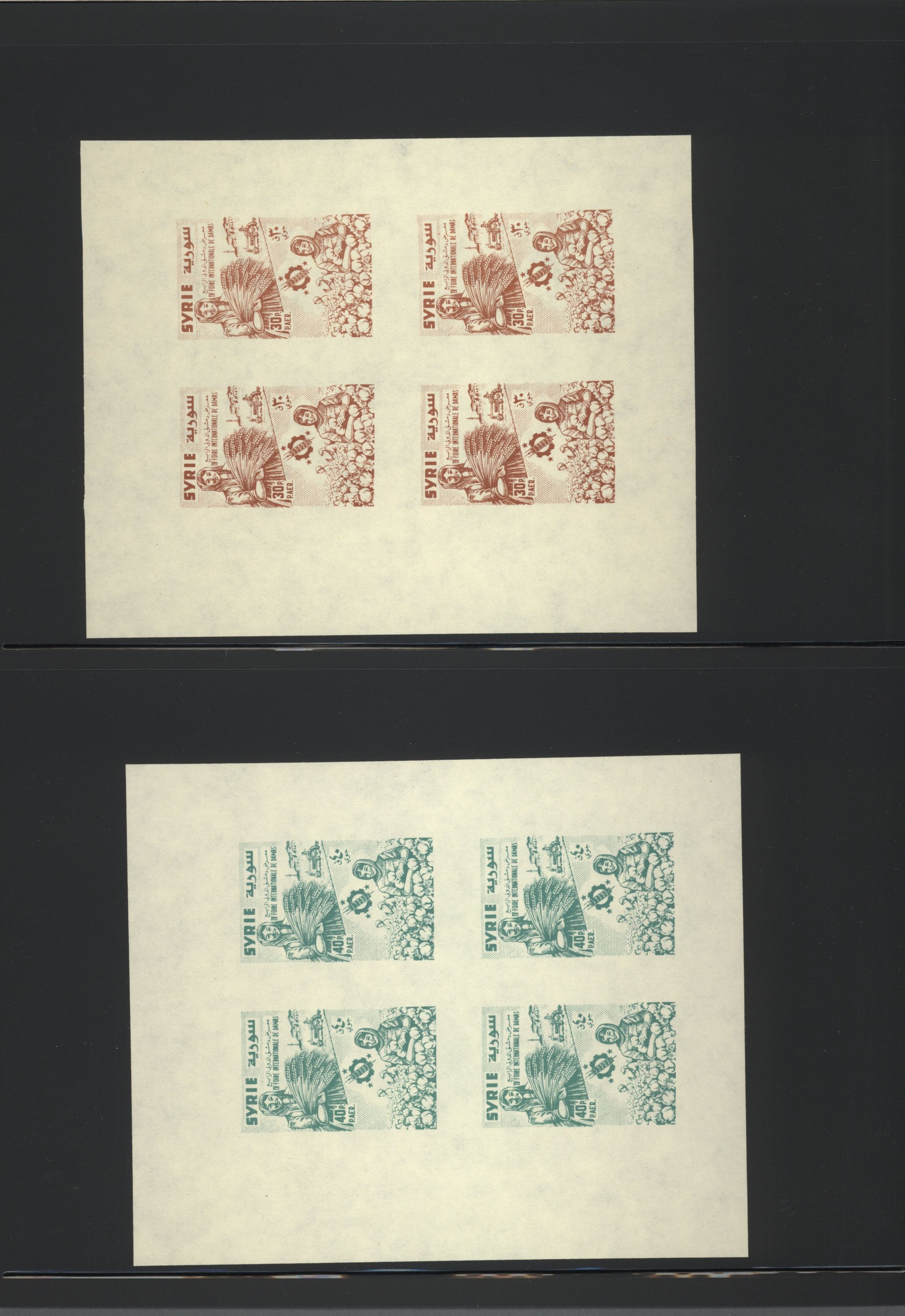 sample from the Arabic World Collection - Lot 29800