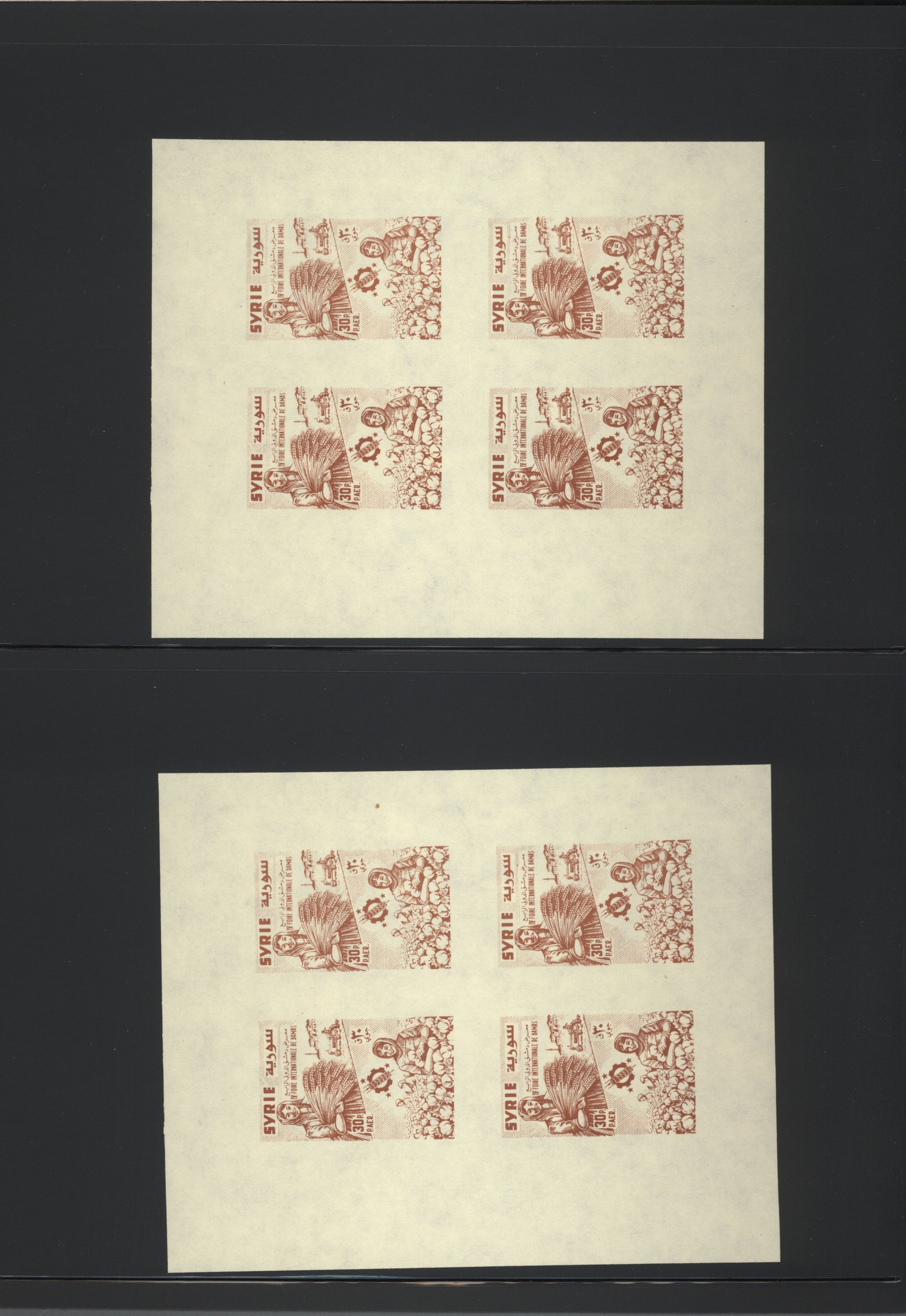 sample from the Arabic World Collection - Lot 29800