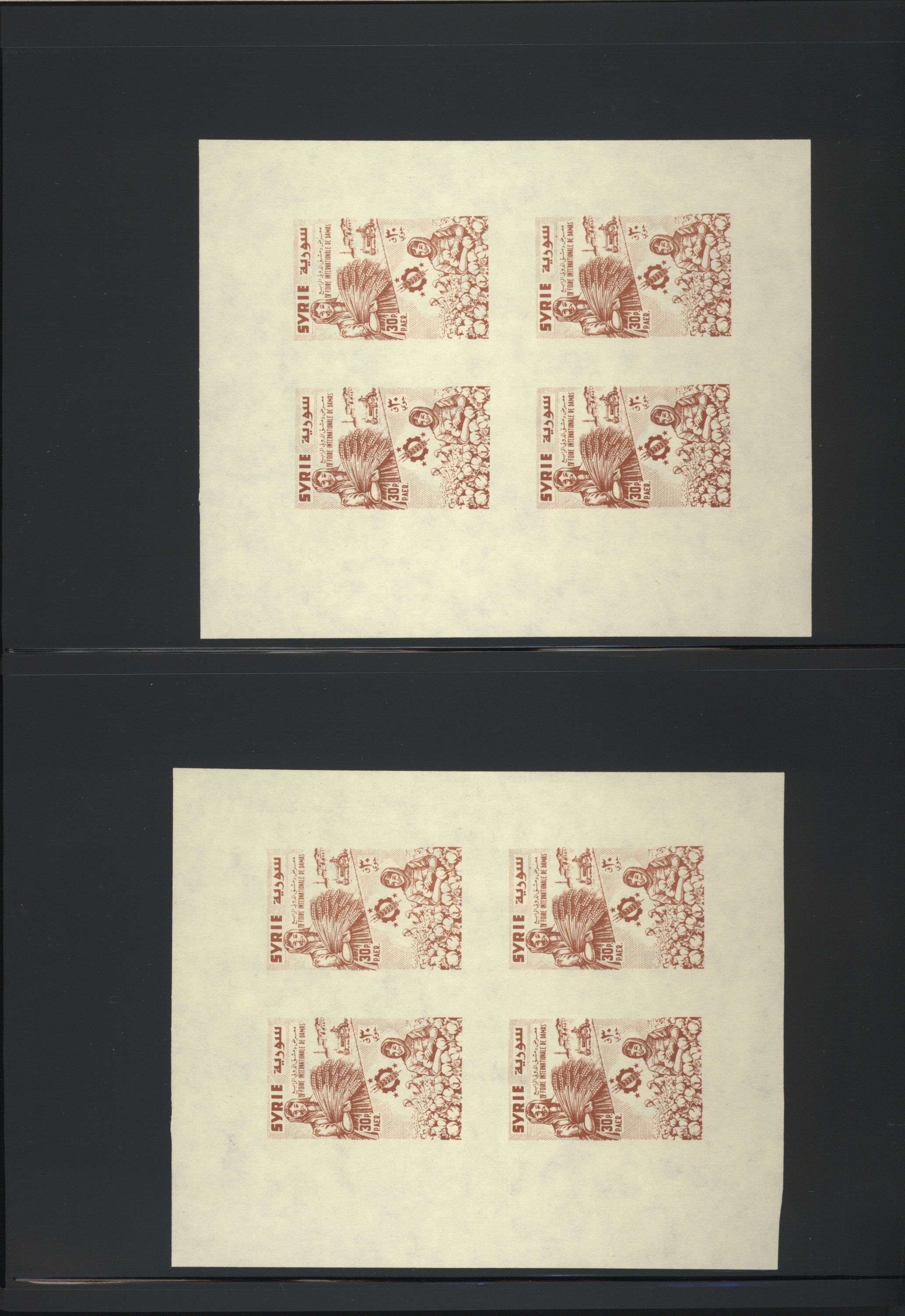 sample from the Arabic World Collection - Lot 29800