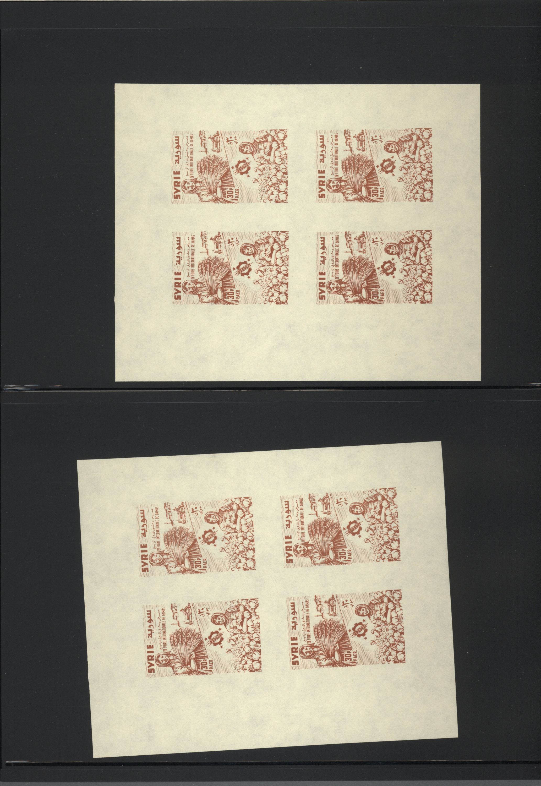 sample from the Arabic World Collection - Lot 29800