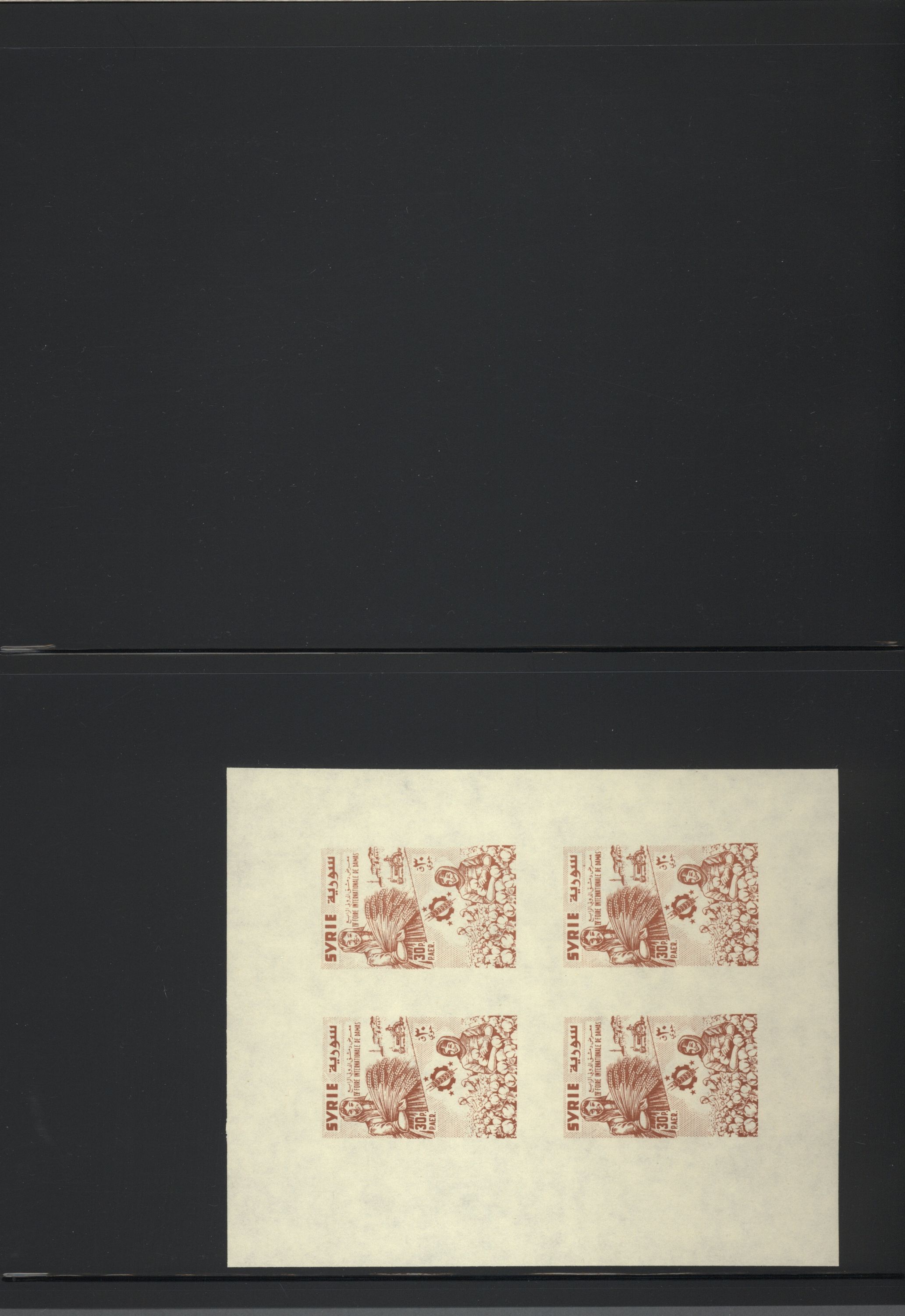 sample from the Arabic World Collection - Lot 29800